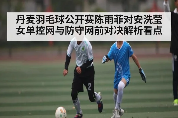 丹麦羽毛球公开赛陈雨菲对安洗莹女单控网与防守网前对决解析看点
